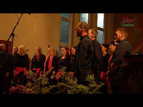 BONUM CANTUM - Baba Yetu