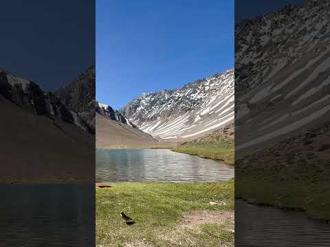 Laguna de los patos, Chile.