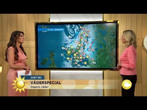 "En hel del sensommarsol framöver" - Nyhetsmorgon (TV4)