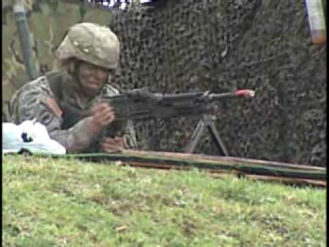 173rd Airborne - Expert Infantry Badge - US Army, Italy - 090226