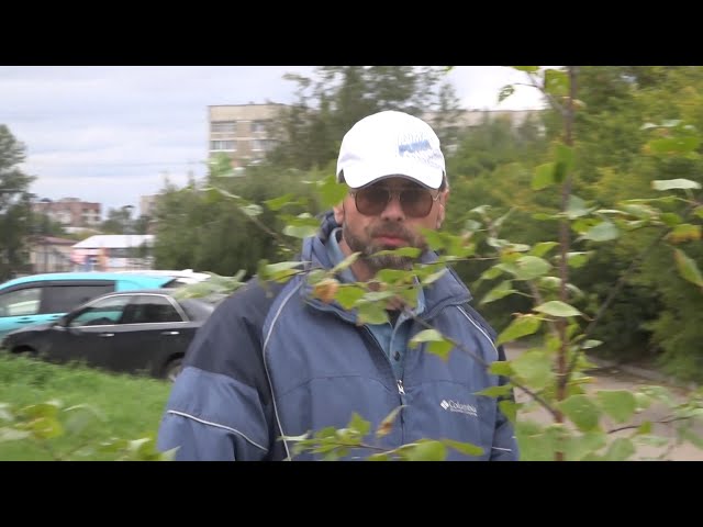 Зелёный город в руках ангарчан