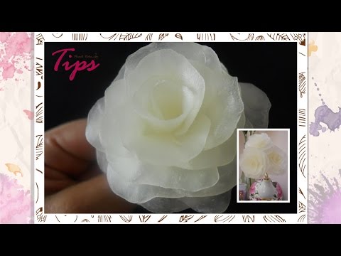 Flores de cera