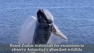 Antarctica video