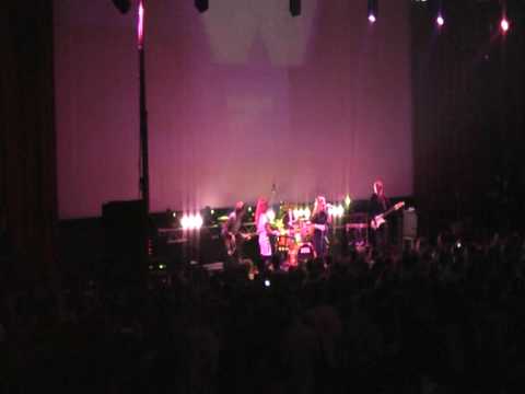 The Digital Forks -Scriptwriter