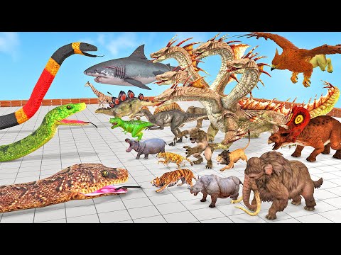 Reptiles Battle - Revolt of Giant Titanoboa vs Wild Animals Dinosaur Animal Revolt Battle Simulator
