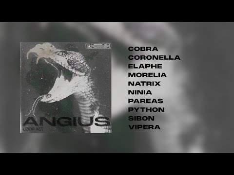 [FREE] Bay Area Loop Kit / West Coast Loop Kit 2021 "ANGIUS" | Bravo the Bagchaser, Drakeo the Ruler