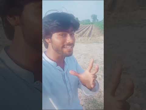 Majboriyan Cha Ketay Watna Tu Door Dhola - Wajid Ali Baghdadi - Official Video please support me🙏🙏🙏🙏