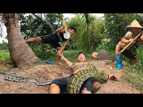 A young man was attacked by a giant python while using a chicken as a big fishing bait.