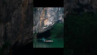 PHONG NHA CAVES | VIETNAM 🇻🇳 TRAVEL GUIDE #shorts #vietnam #travelhacks