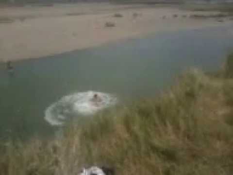 Nebunii din Cosmesti-Vale