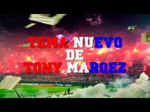 TEMA NUEVO C.N.de.F || Estos colores son mi enfermedad || Tony Marquez 2016 || LBDP