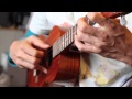 Akaka Falls (Jake shimabukuro cover)
