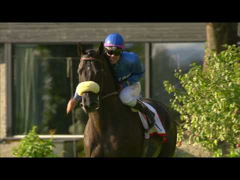 2021.08.22 Norsk Derby - Stroxx Carlras