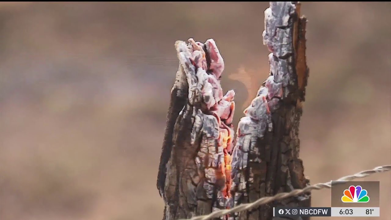 Some Springtown residents forced to evacuate after fast-moving fire | NBCDFW