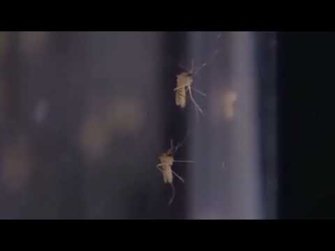 Sussex County Mosquito Control