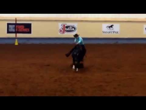 AQHYA World Show-2015-"Reining"-Taylen / Wimpy's Lil Twister