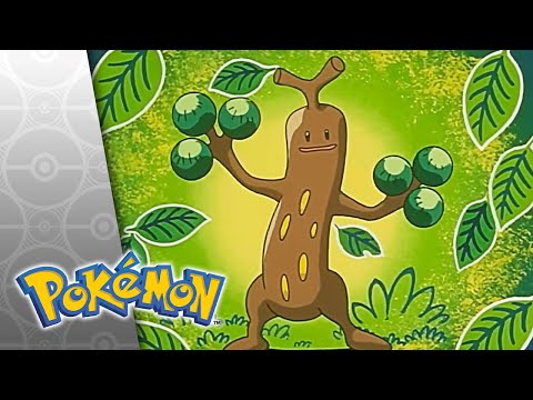 Type Casting! | POKÉMON FULL EPISODE 5 | Season 4