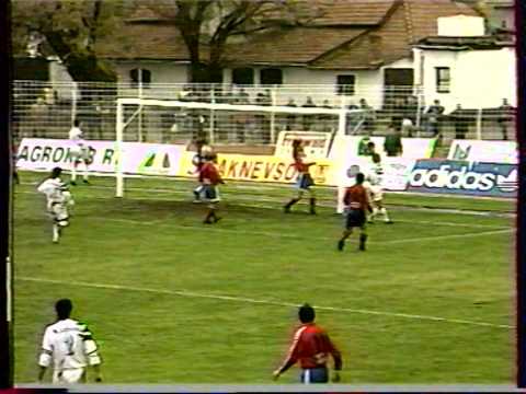 Békéscsaba - Nagykanizsa 1994/95
