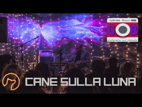 Cane sulla Luna - LIVE - Dateci le brioche
