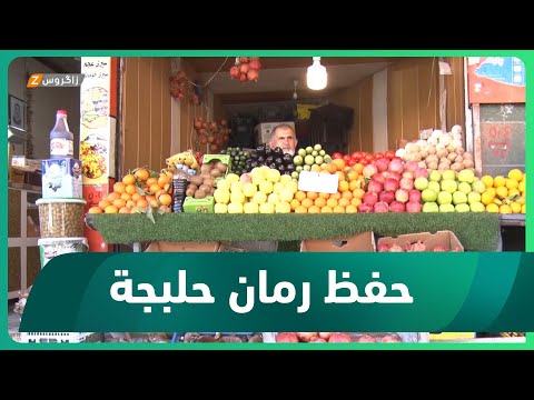شاهد بالفيديو.. مزارعو الرمان في حلبجة يخزنون محاصيلهم لبيعها بسعر أفضل في فصل البرد والصقيع