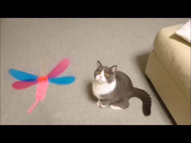 ペッツルート (Petz Route) 猫用玩具 カシャカシャぶんぶん トンボ