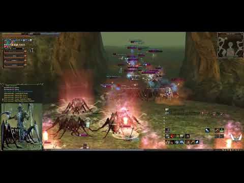 La2Dream.com :: AQ Morning Fun!!