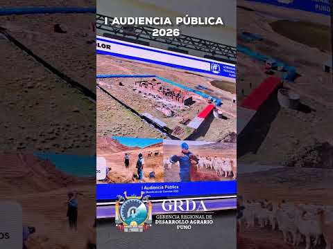 AUDIENCIA GRDA