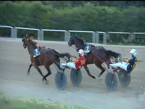 Trotto 21/09/2019 - 8ª corsa