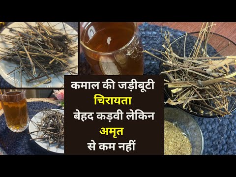 Ayurvedic Benefits of Chirata: Liver को अंदर से साफ करने से लेकर कई बीमारियों में फायदेमंद चिरायता