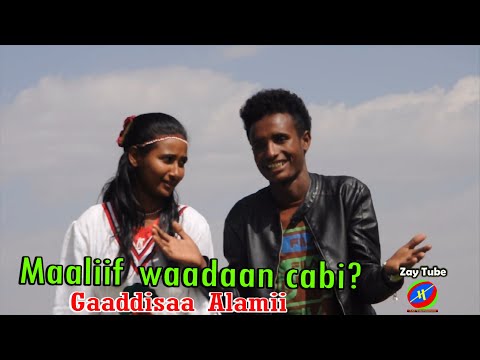 Gaaddisaa Alamii - Maaliif waadaan cabi? - New Ethiopian oromo music 2021
