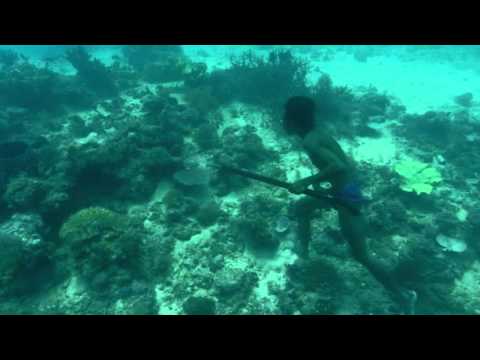 Human planet Water World