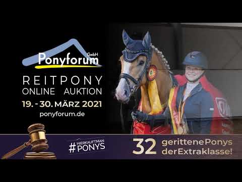 DAVINCI GOLD Wallach * 2014 v. Danny Gold T - Parino B