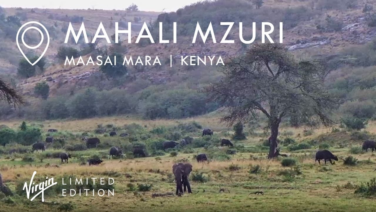 Live webcam view of Mahali Mzuri Safari Landscape Cam