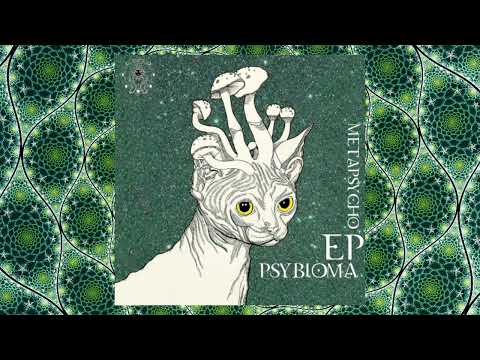 ૐ [DARKPSY] MetaPsycho - Entre Nosotros - PSYBIOMA EP OUT NOW  ૐ