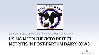Using Metricheck to detect metritis in post-partum dairy cows