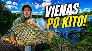Karpių žvejyba virto tikra karosų fiesta!