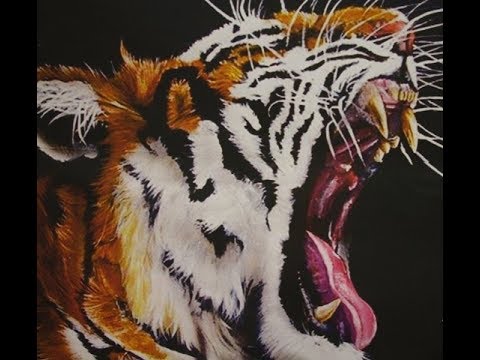 Damiano Spina Volley Oria vs Zero5 Volley Castellana Grotte_16/12/18