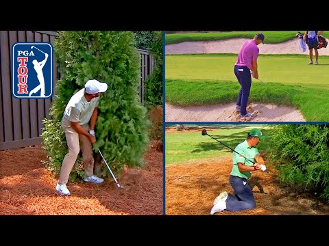 Best ESCAPE SHOTS of 2024 on the PGA TOUR