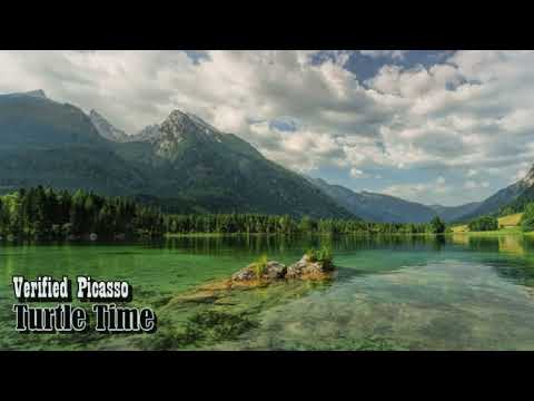 Verified Picasso - Turtle Time