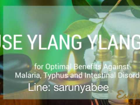 การรักษา Propolis ของโรคสะเก็ดเงิน โรคสะเก็ดเงินโจ๊กลูกเดือย