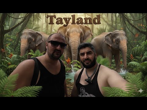 Tayland / Adalar / Üzən Bazar / Fillərlə Bir Gün / Harun Memmedov