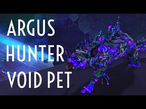 WoW Guide - Shadowcrazed Marsuul - Void Elf Hunter Pet