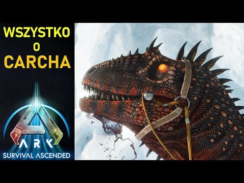 ARK: Wszystko o Carcharodontosaurus Poradnik PL | ARK Survival Ascended, ARK Survival Evolved.