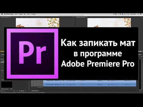 Как запикать мат в видео в программе Adobe Premiere Pro. Урок.