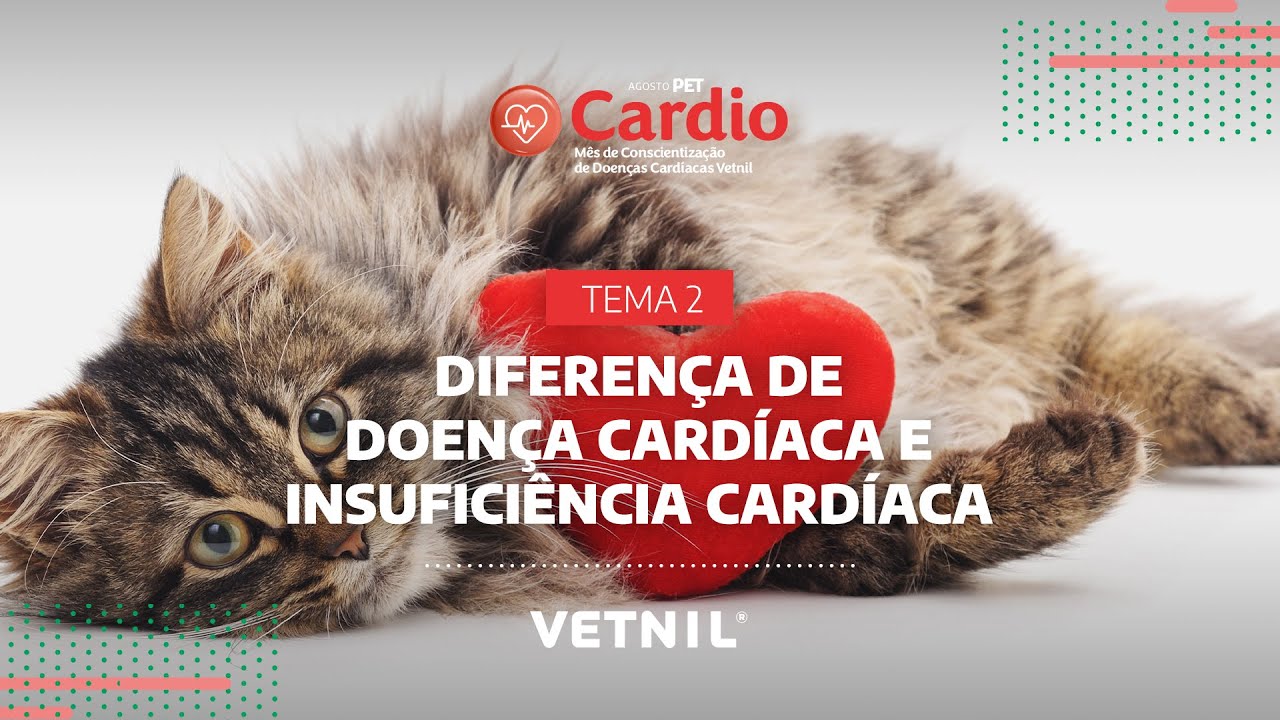 Agosto Pet Cardio – Tema 2: Diferença de doença cardíaca e insuficiência cardíaca