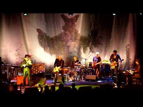 The Waterboys - Fisherman's Blues (Live in Dublin)