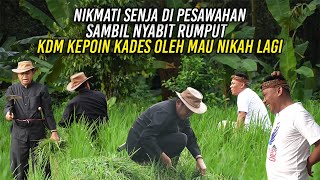 Download lagu NIKMATI SENJA DI PESAWAHAN | SAMBIL NYABIT RUMPUT - KDM KEPOIN KADES OLEH MAU NIKAH LAGI mp3