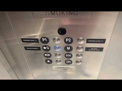 Brand New ThyssenKrupp Traction Elevators @ Milam’s Market, Miami, FL