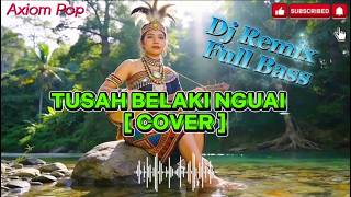 Download lagu TUSAH BELAKI NGUAI – DJ REMIX FULL BASS  TERBARU mp3