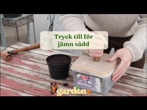 Press for even sowing - Gardenhacks by GardenR